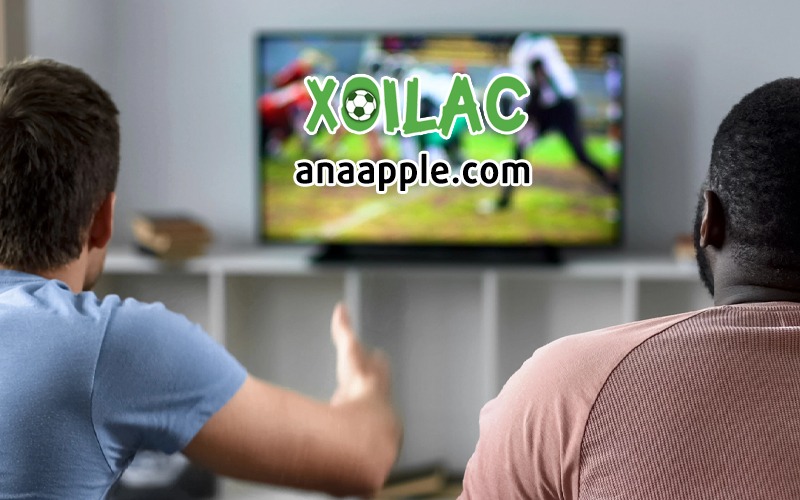 云开·全站APP登录网页版